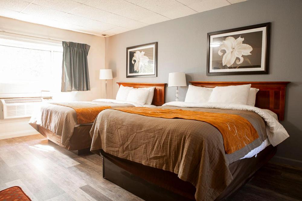 Queen Room with Two Queen Beds - Smoking