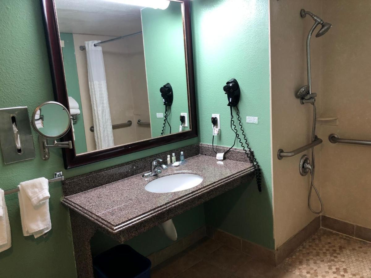 Accessible Room 1 King Bed Roll Shower Non Smoking,1646334316:JPEG