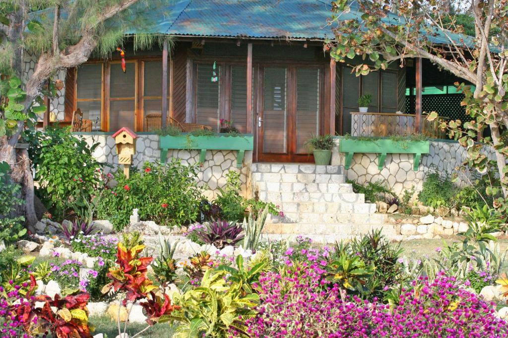 Star Bungalow,416188443:JPEG