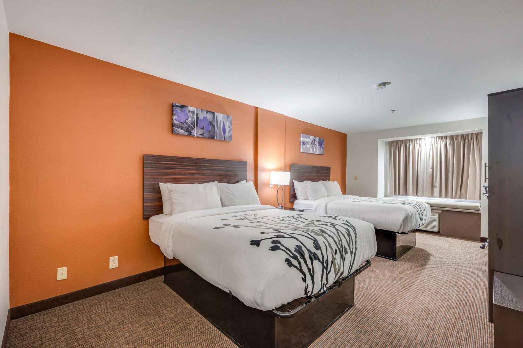 Standard Queen Room with Two Queen Beds - Non-Smoking,1218486937:JPEG