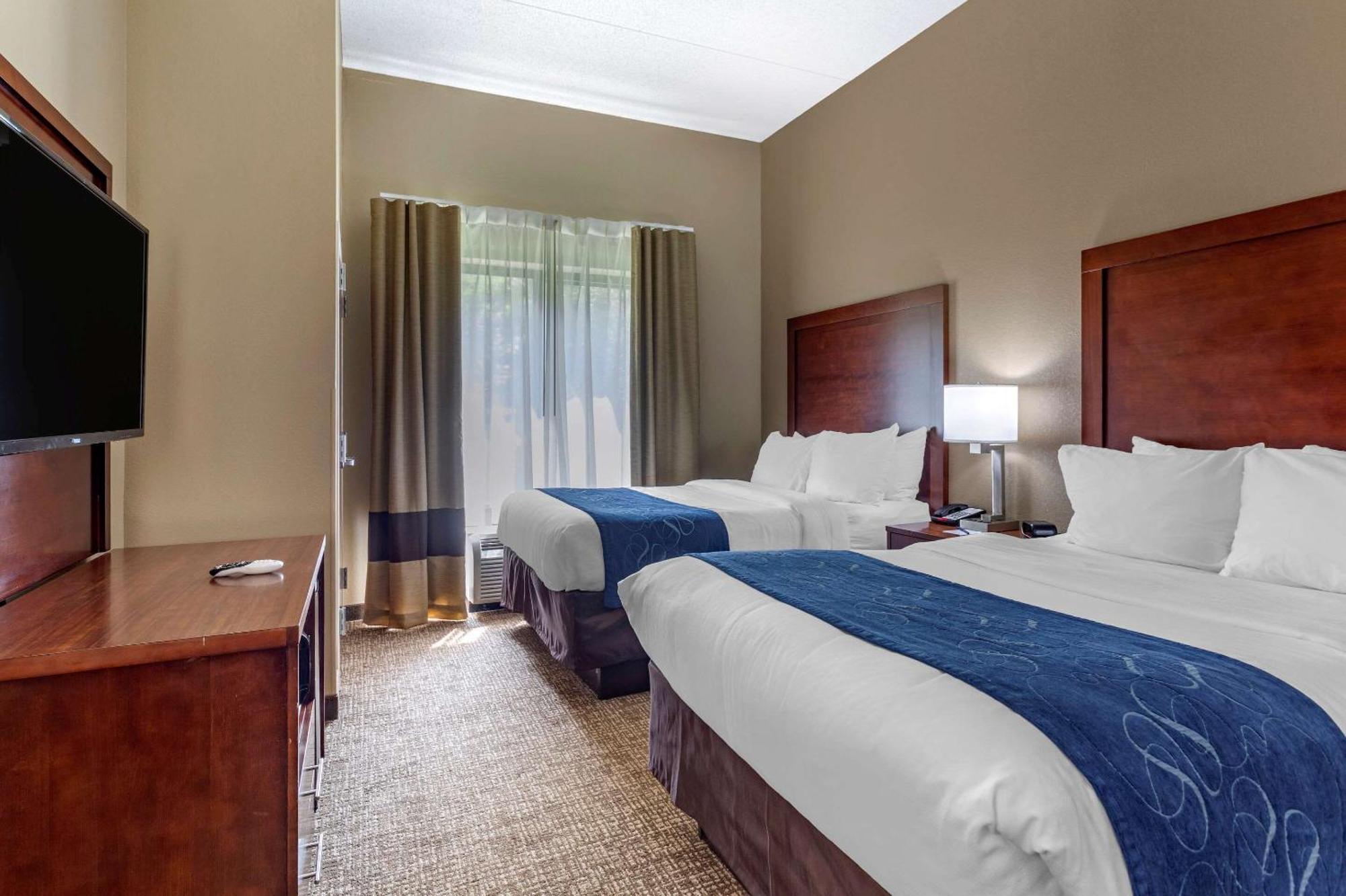 Standard Suite,1218815092:JPEG
