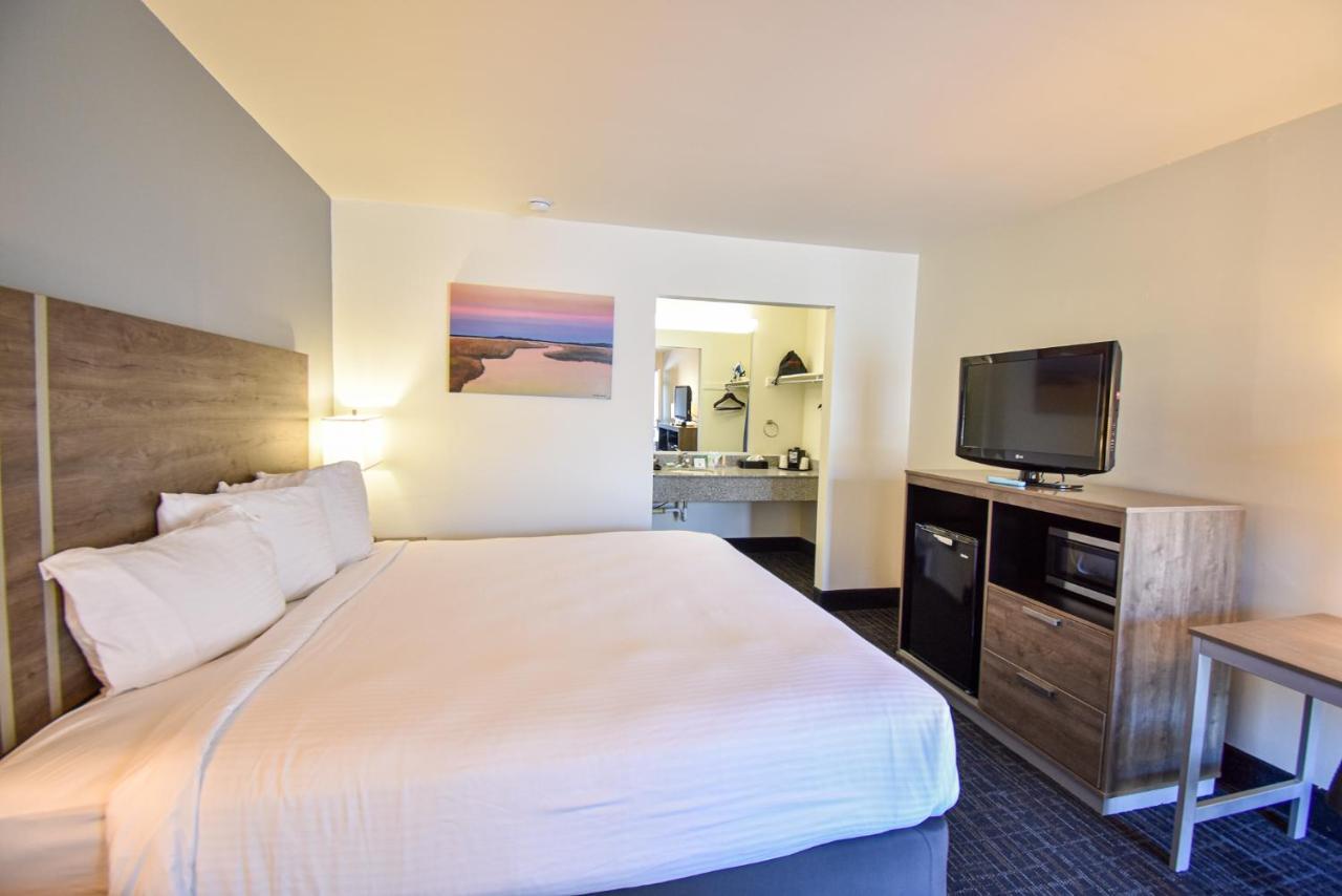 Standard King Room,1226267645:JPEG