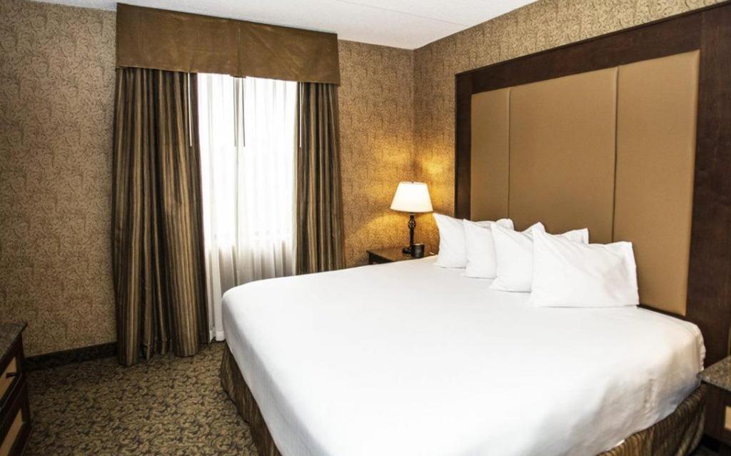 King Room,1229965924:JPEG
