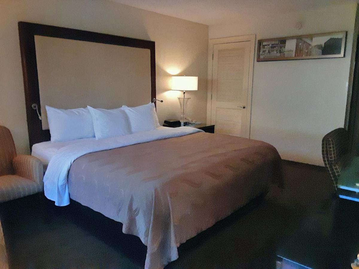 King Room - Accessible/Smoking