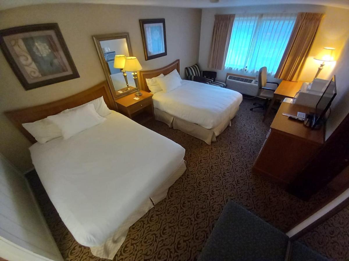 Queen Room with Two Queen Beds,1259813926:JPEG