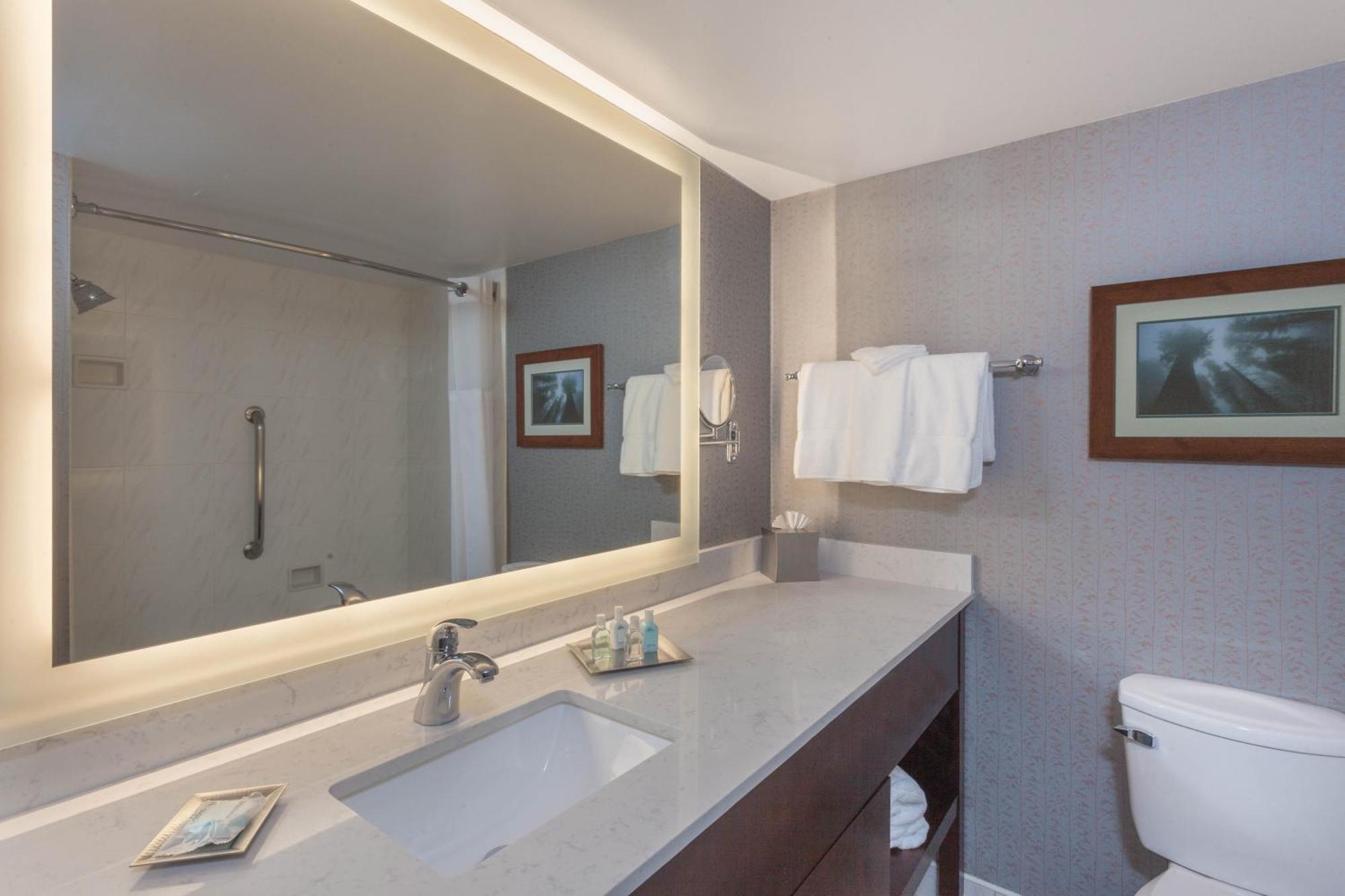 Deluxe One-Bedroom King Suite - Non-Smoking,1704965330:JPEG