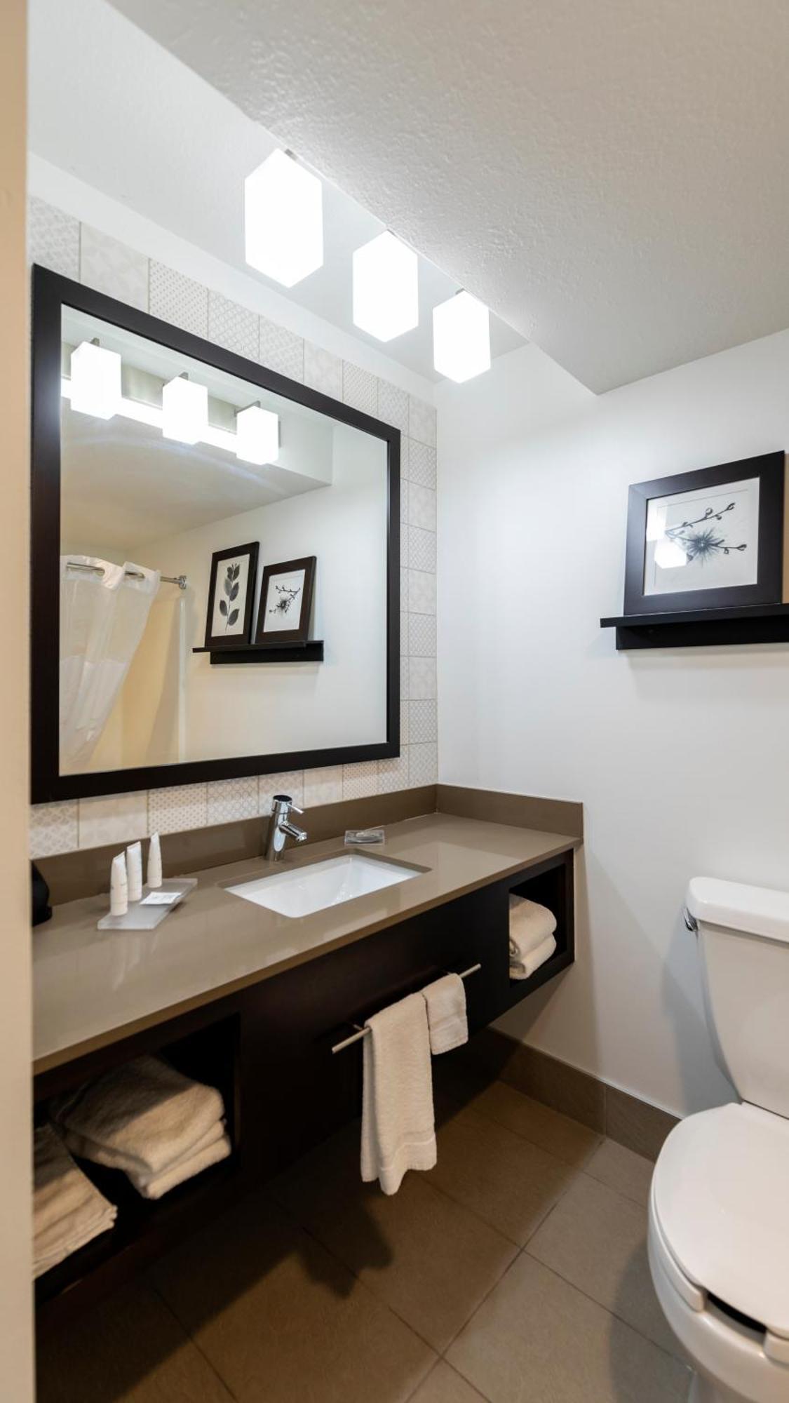 King Suite with Whirlpool and Roll-in Shower - Non-Smoking