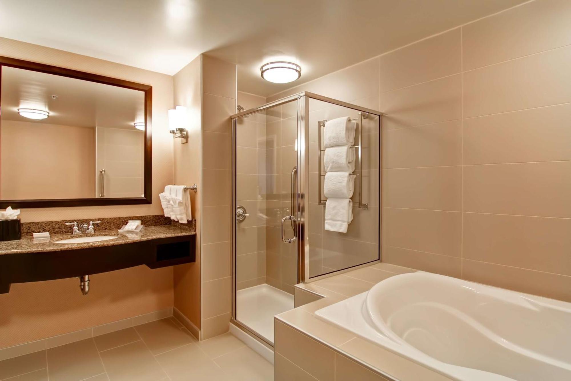 One-Bedroom King Suite
