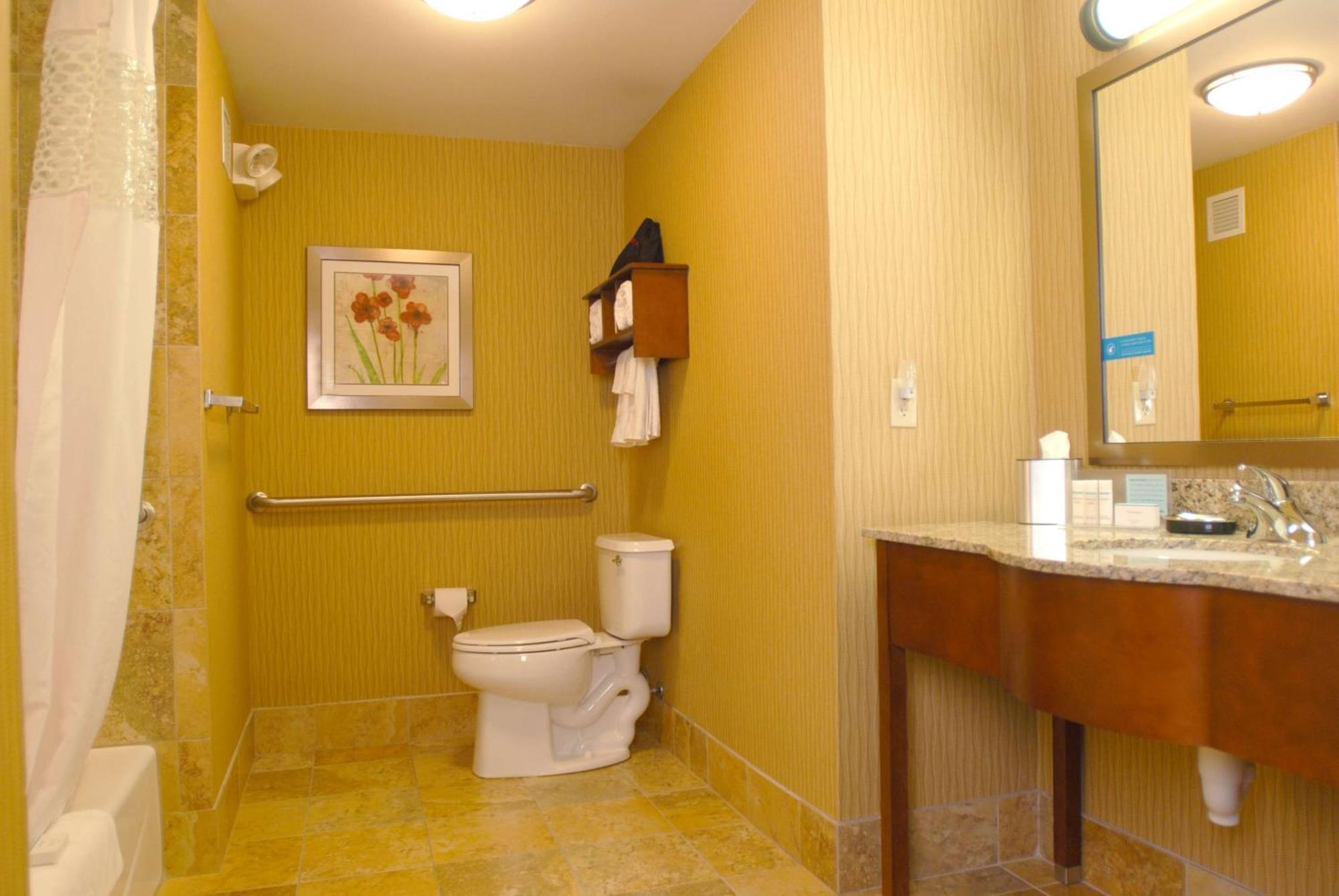 King Studio Suite with Sofa Bed - Non-Smoking,1548275587:JPEG