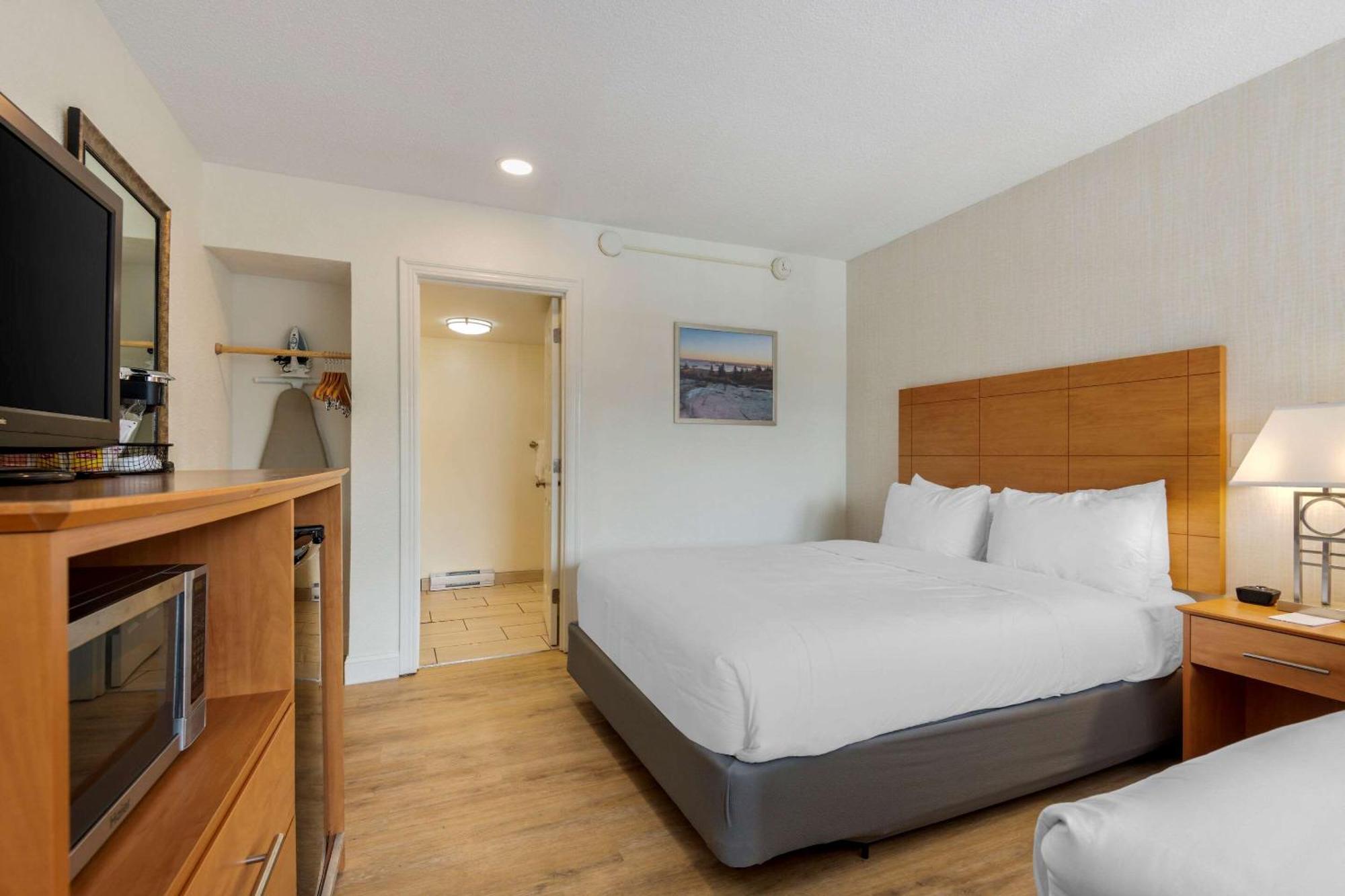 Two Queen Room Pet Friendly,1705911925:JPEG