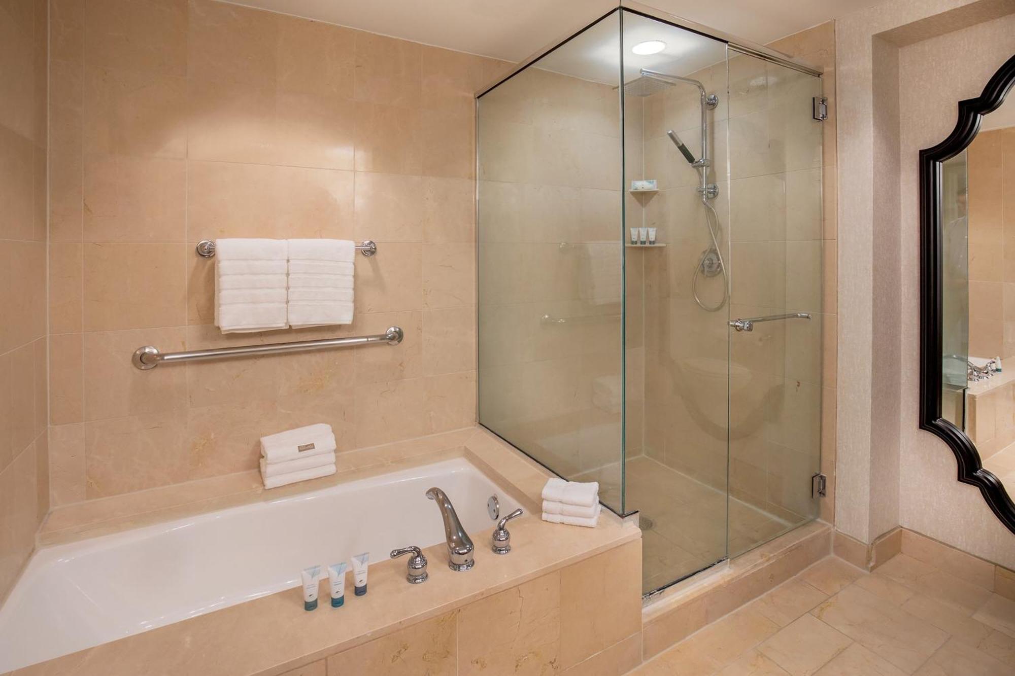 1 Bedroom Studio Suite, 1 King, Sofa bed, City view
