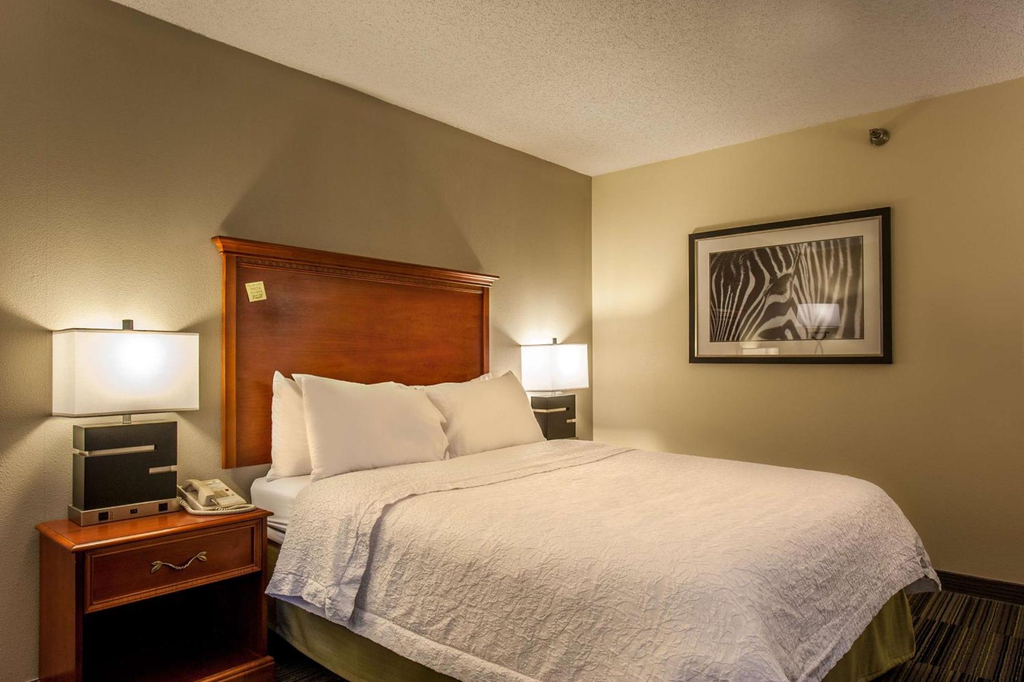 King Room with King Bed - Non-Smoking
