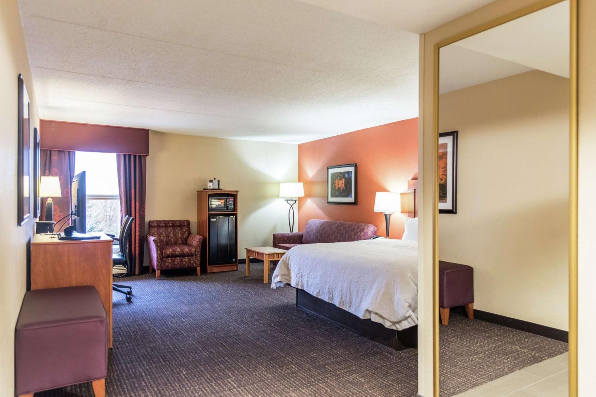 King Studio Suite with Sofa Bed - Non-Smoking