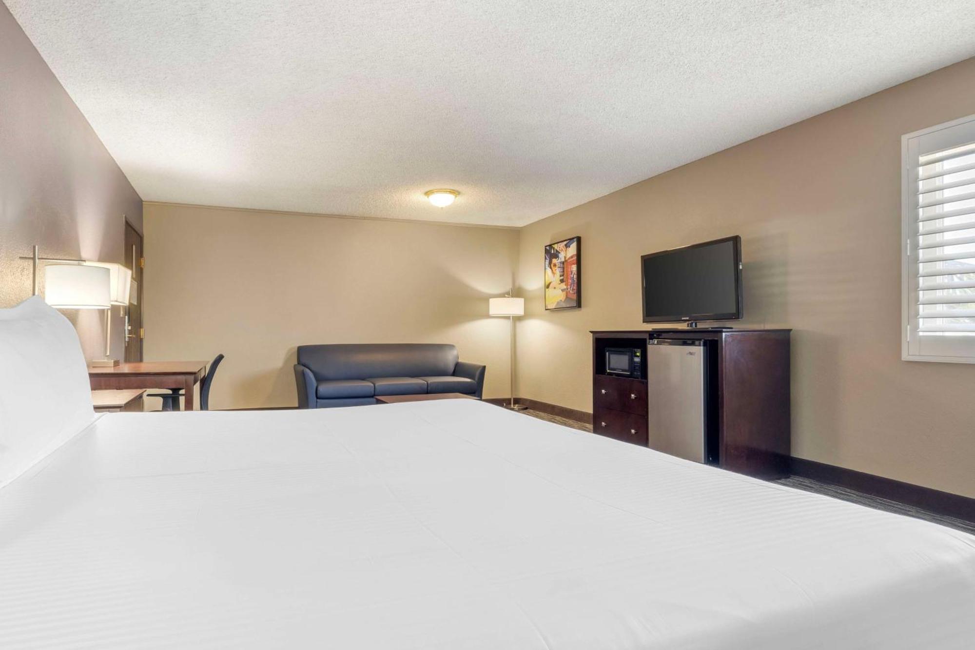 Executive King Room with Sofa Bed,1623650532:JPEG