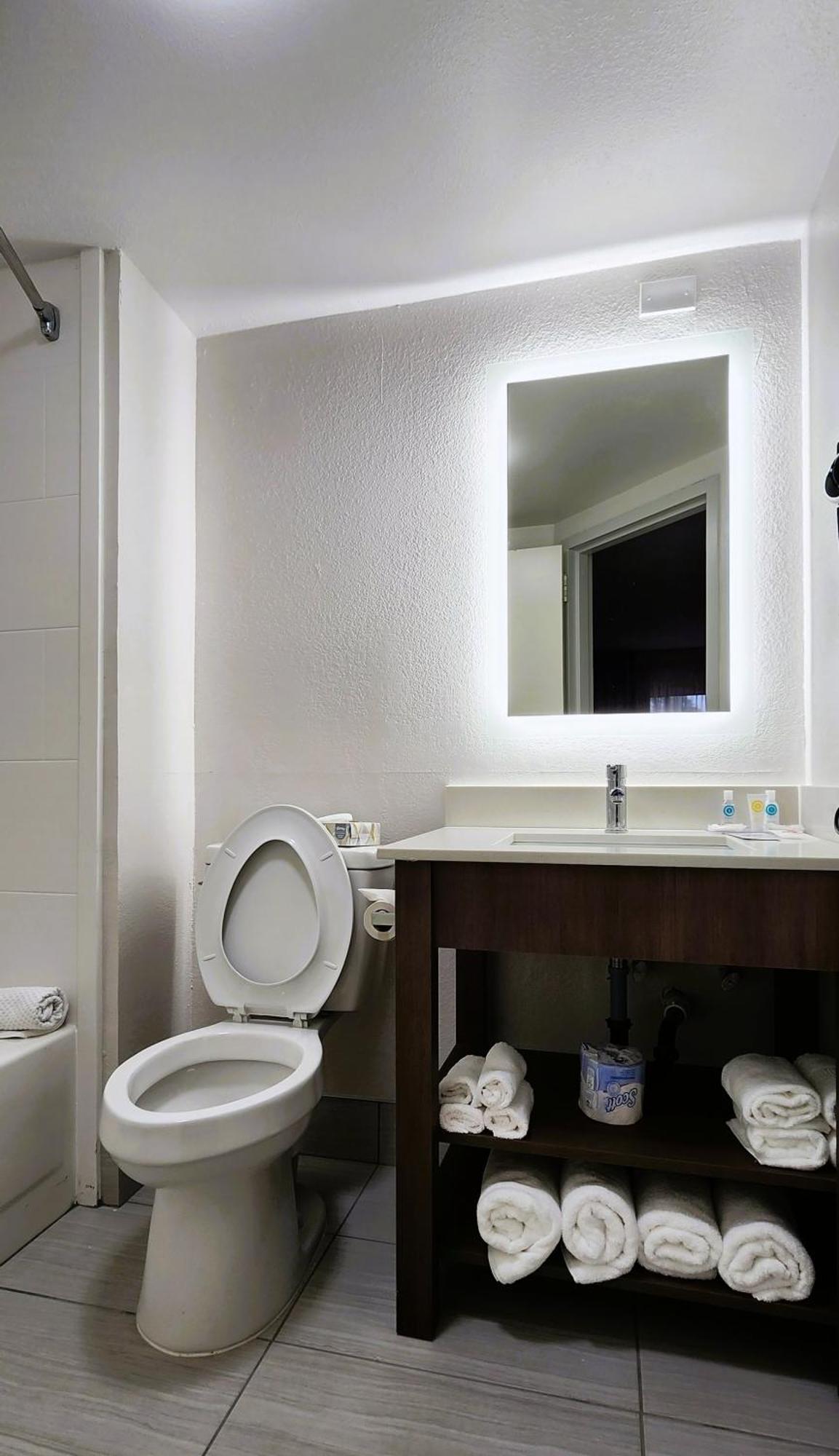 Deluxe King Room  with Sofa Bed - Non-Smoking