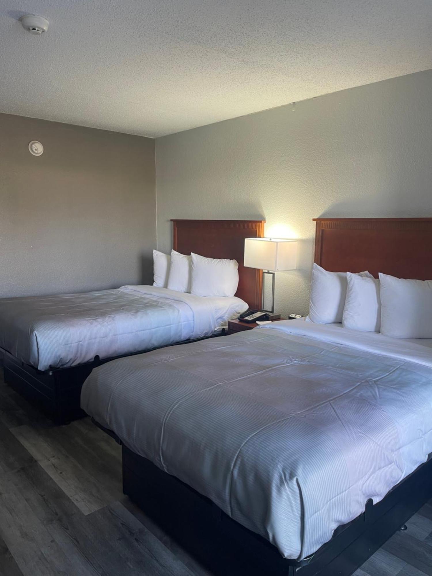 Standard Double Room with Two Double Beds - Non Smoking,1706668983:JPEG
