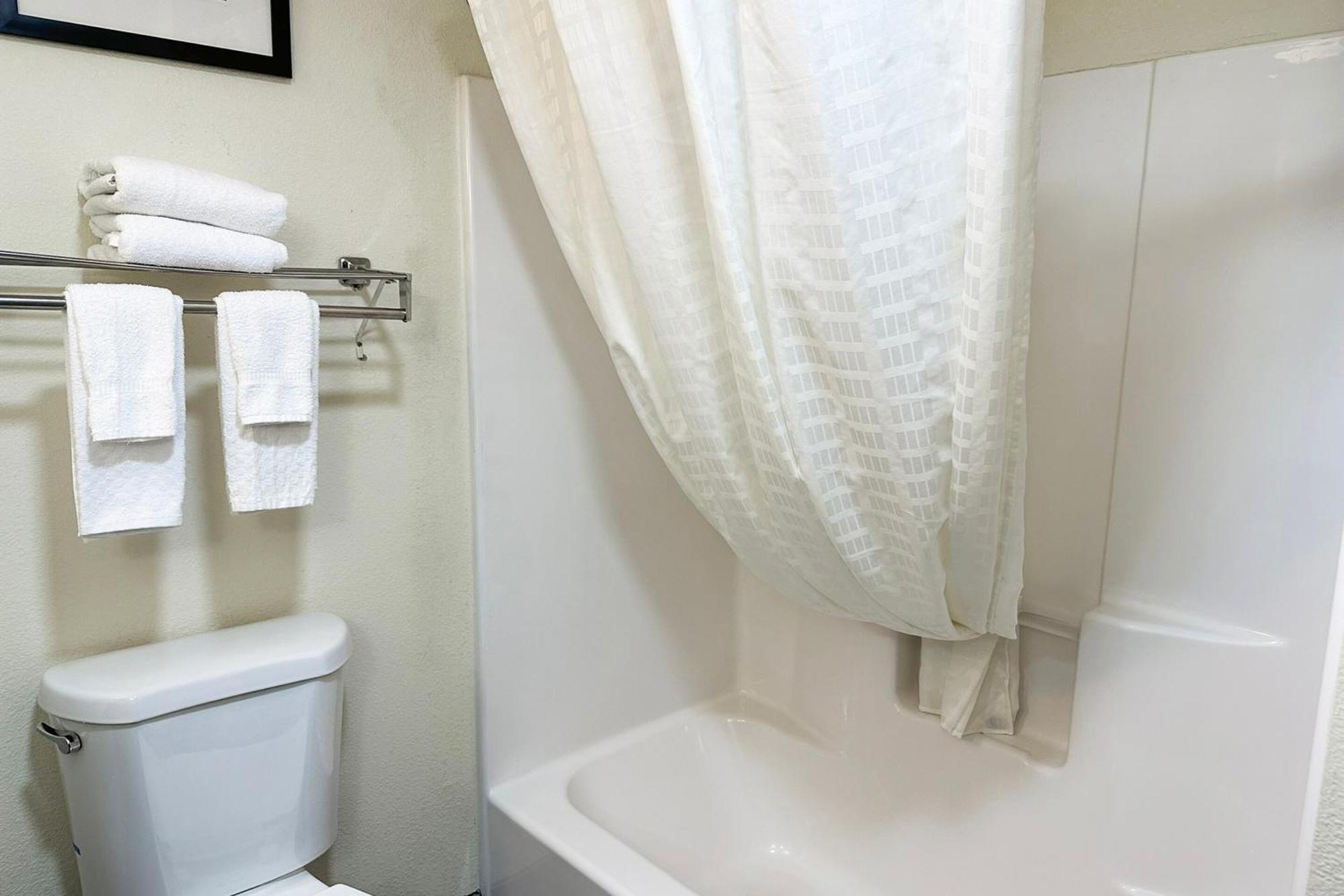 Suite - King Bed