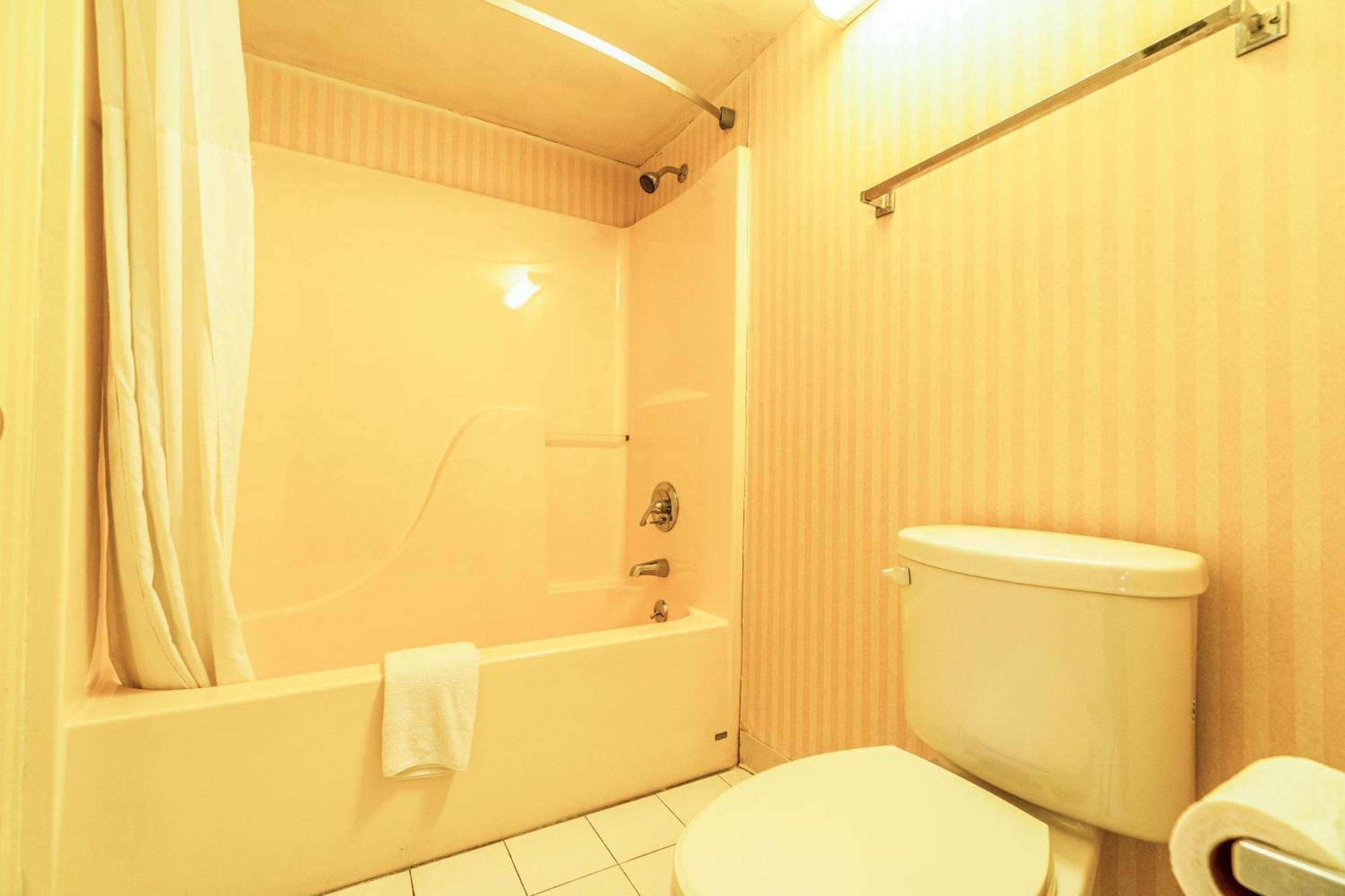 Queen Bed Non-Smoking,1658766543:JPEG