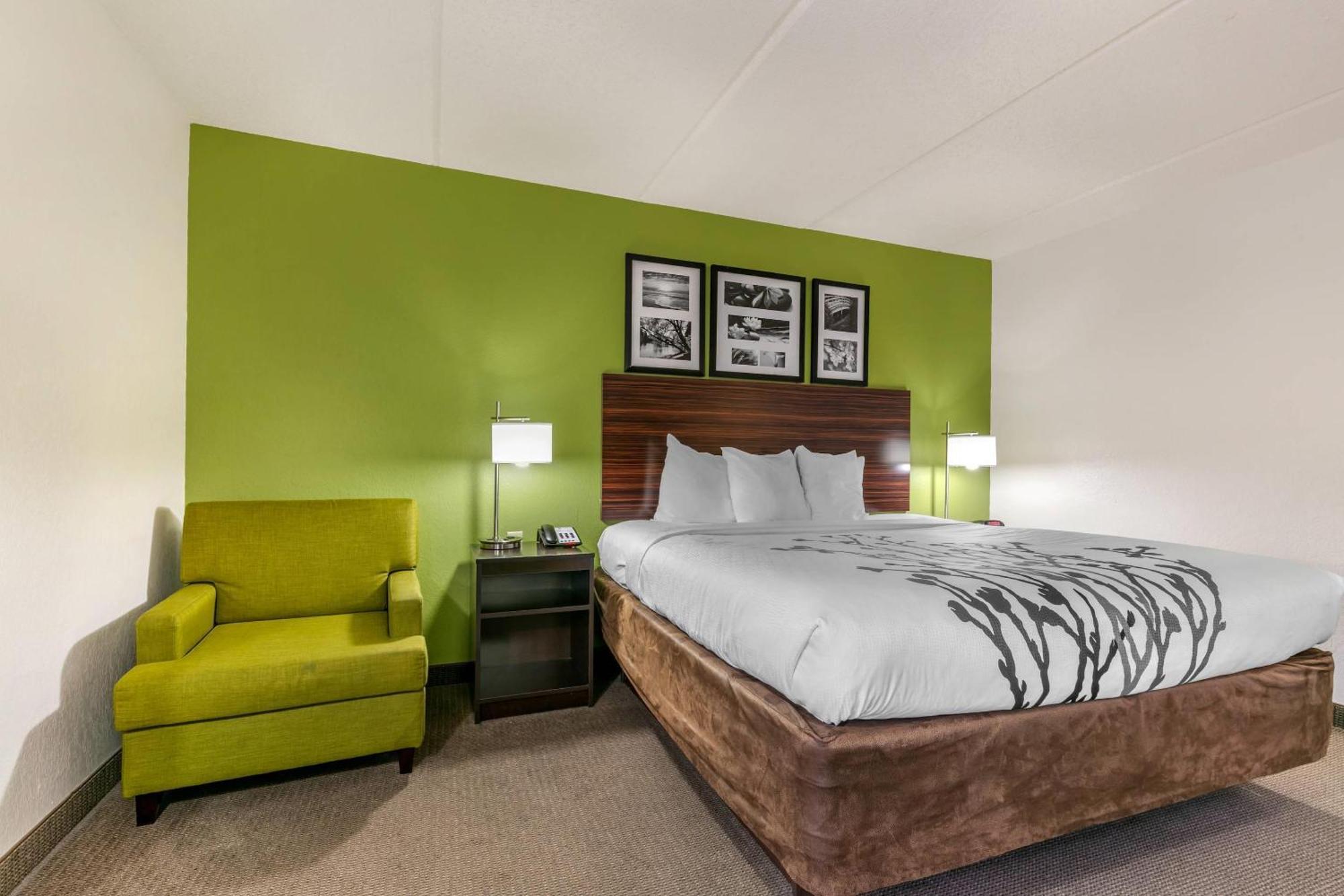 King Room - Disability Access/Non-Smoking,1677860044:JPEG