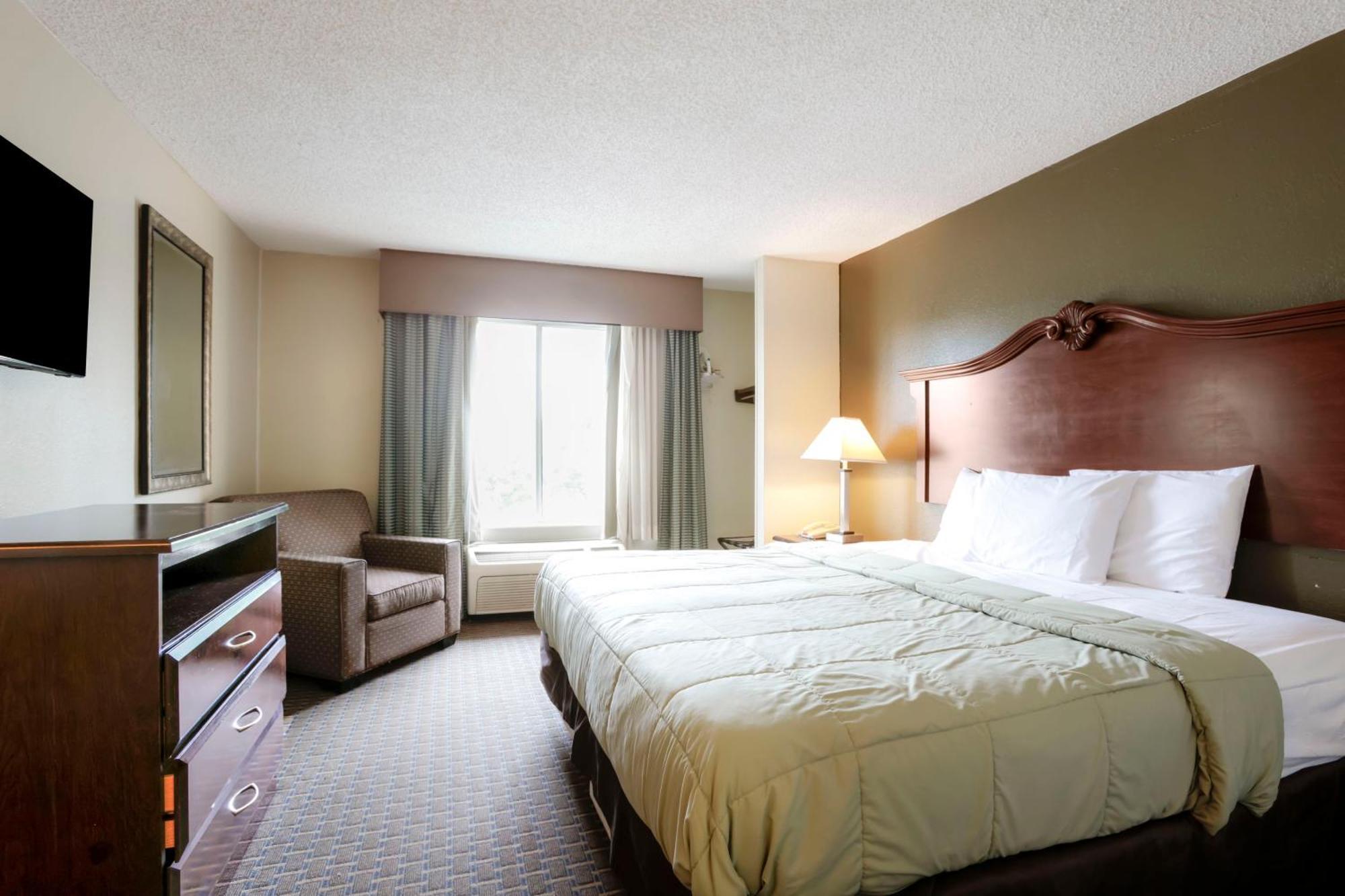 Suite - King Bed,1697920006:JPEG
