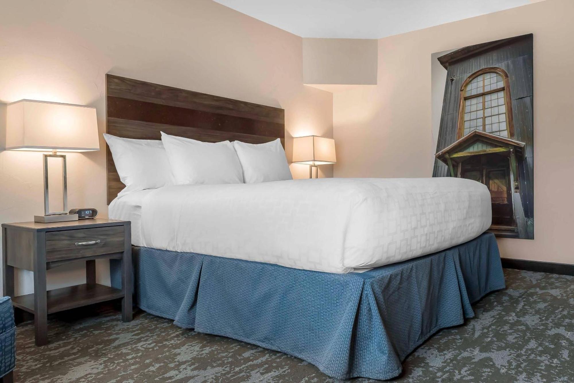 Standard King Room with Shower - Non-Smoking,1722937691:JPEG