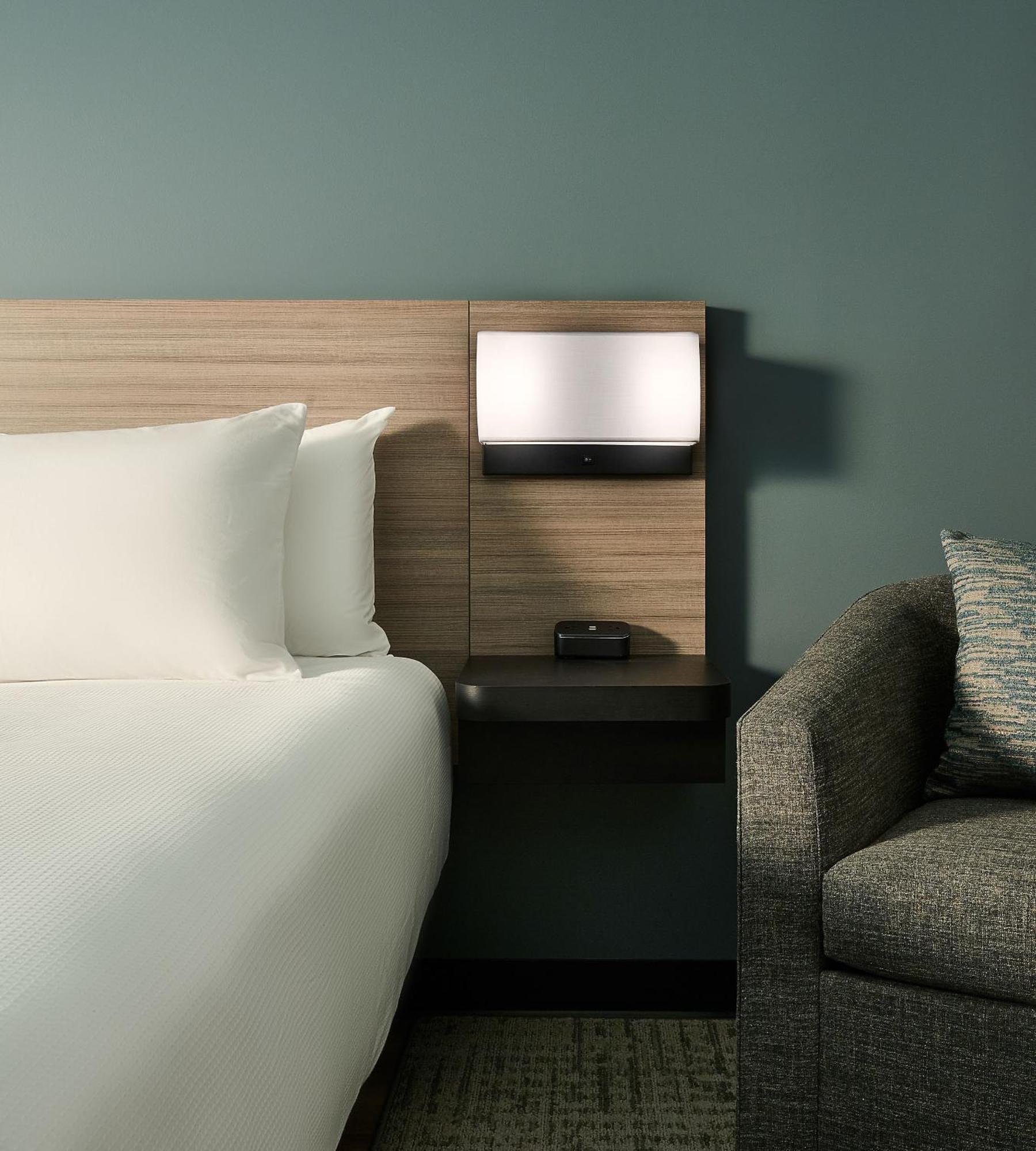 King Suite Bathtub Sofa Bed Mobility Access