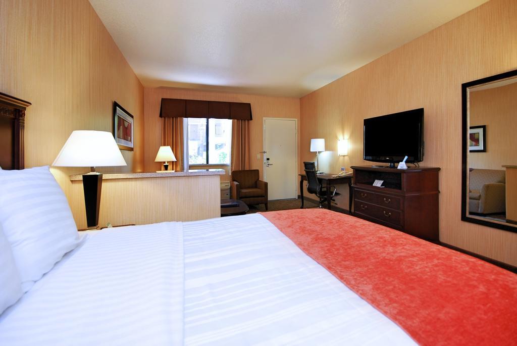 Queen Suite with Sofa Bed,702868849:JPEG
