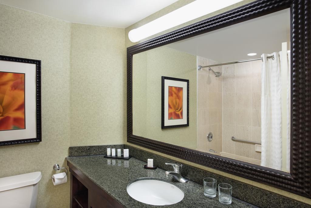 King Suite with View