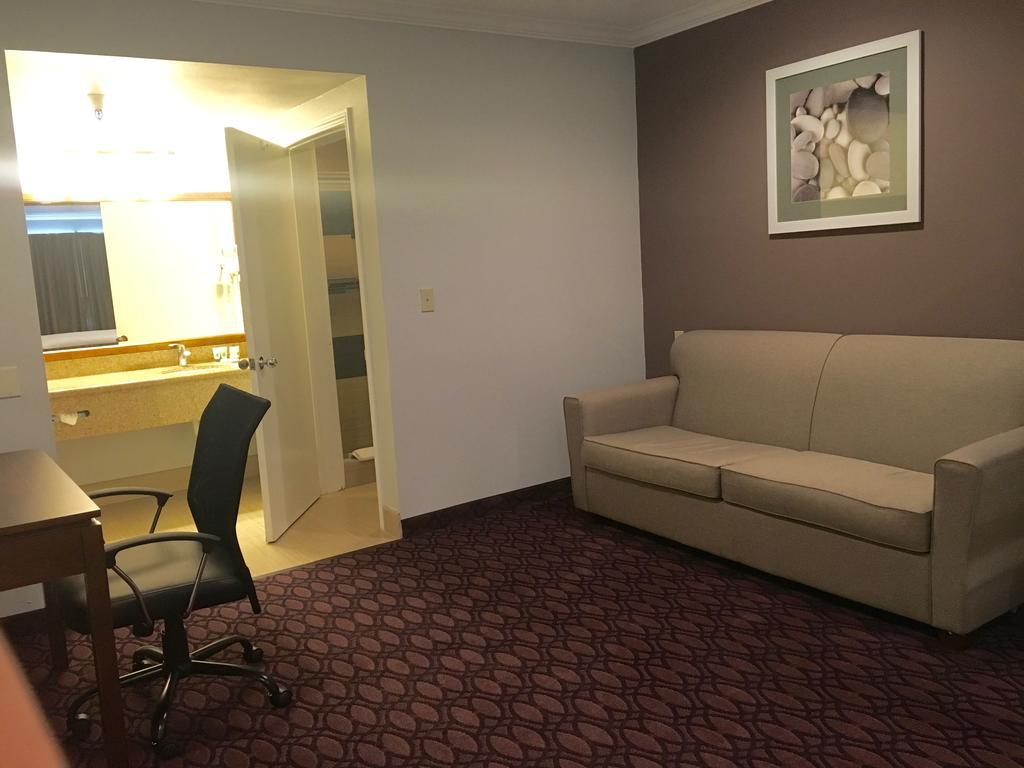 King Studio with Sofa Bed,331228573:JPEG