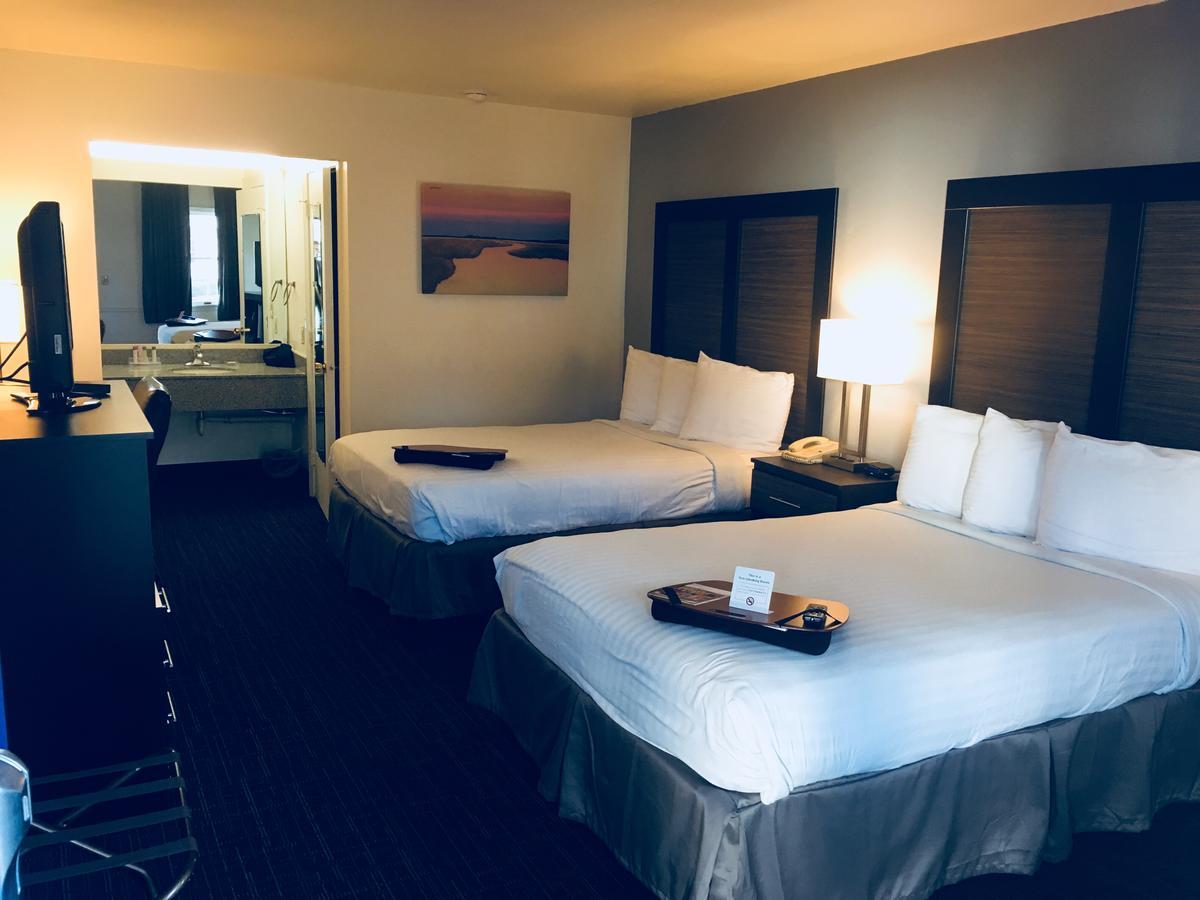 Double Room with Two Double Beds - Non-Smoking,549254484:JPEG