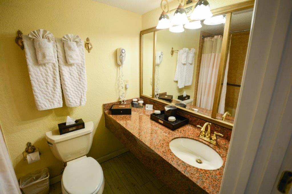 Double Room With Ocean View Balcony Handicap