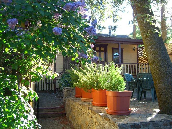 Patio Cottage,1613439060:JPEG