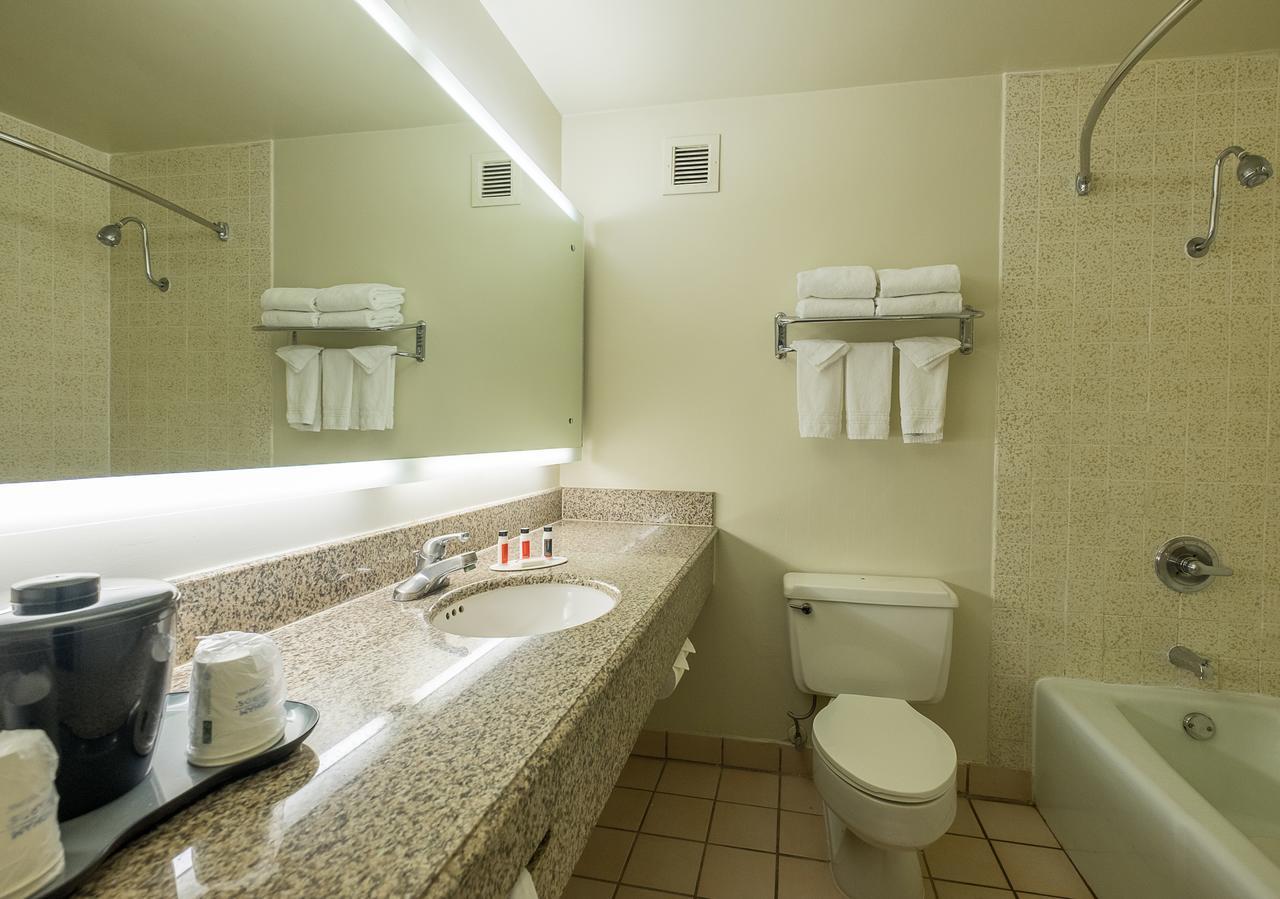 Room with Two Double Beds - Non-Smoking