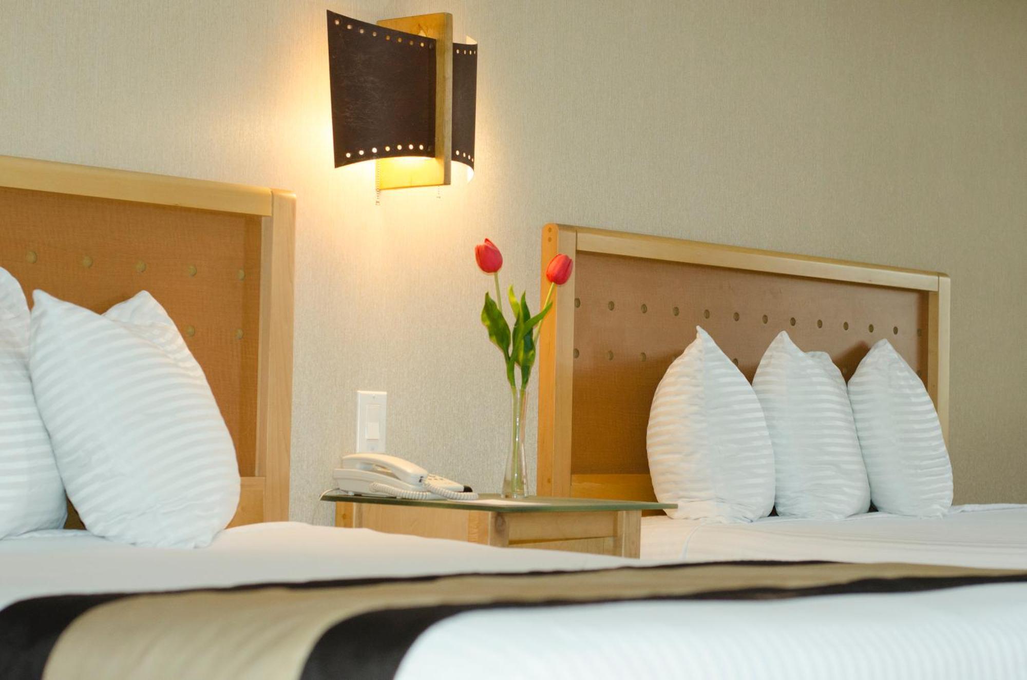 Standard Double Room,1080741595:JPEG