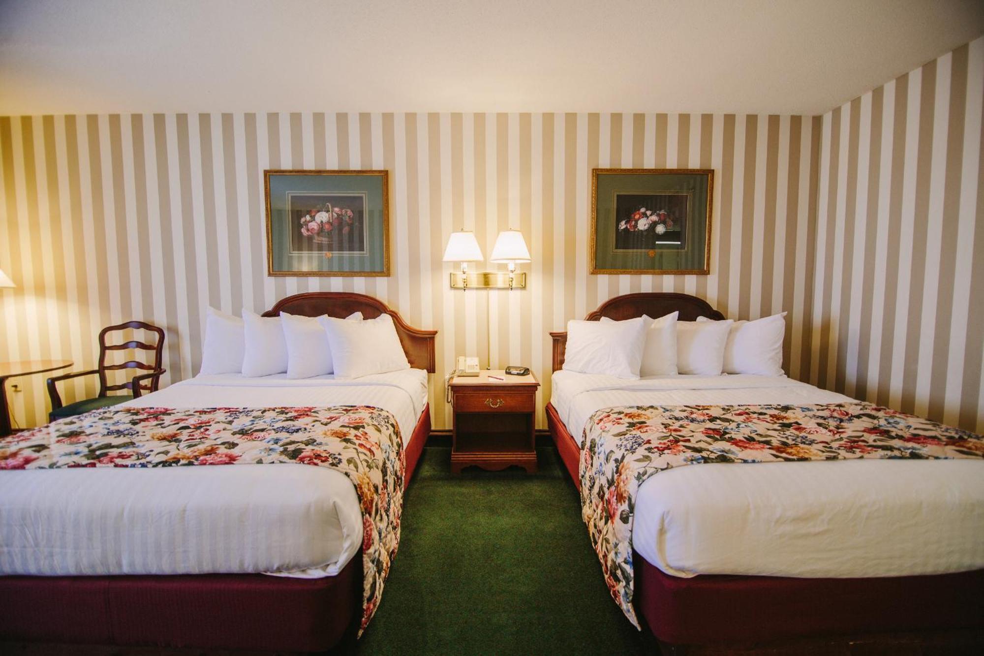 Standard Non-View Room- Two Queens,1667443071:JPEG
