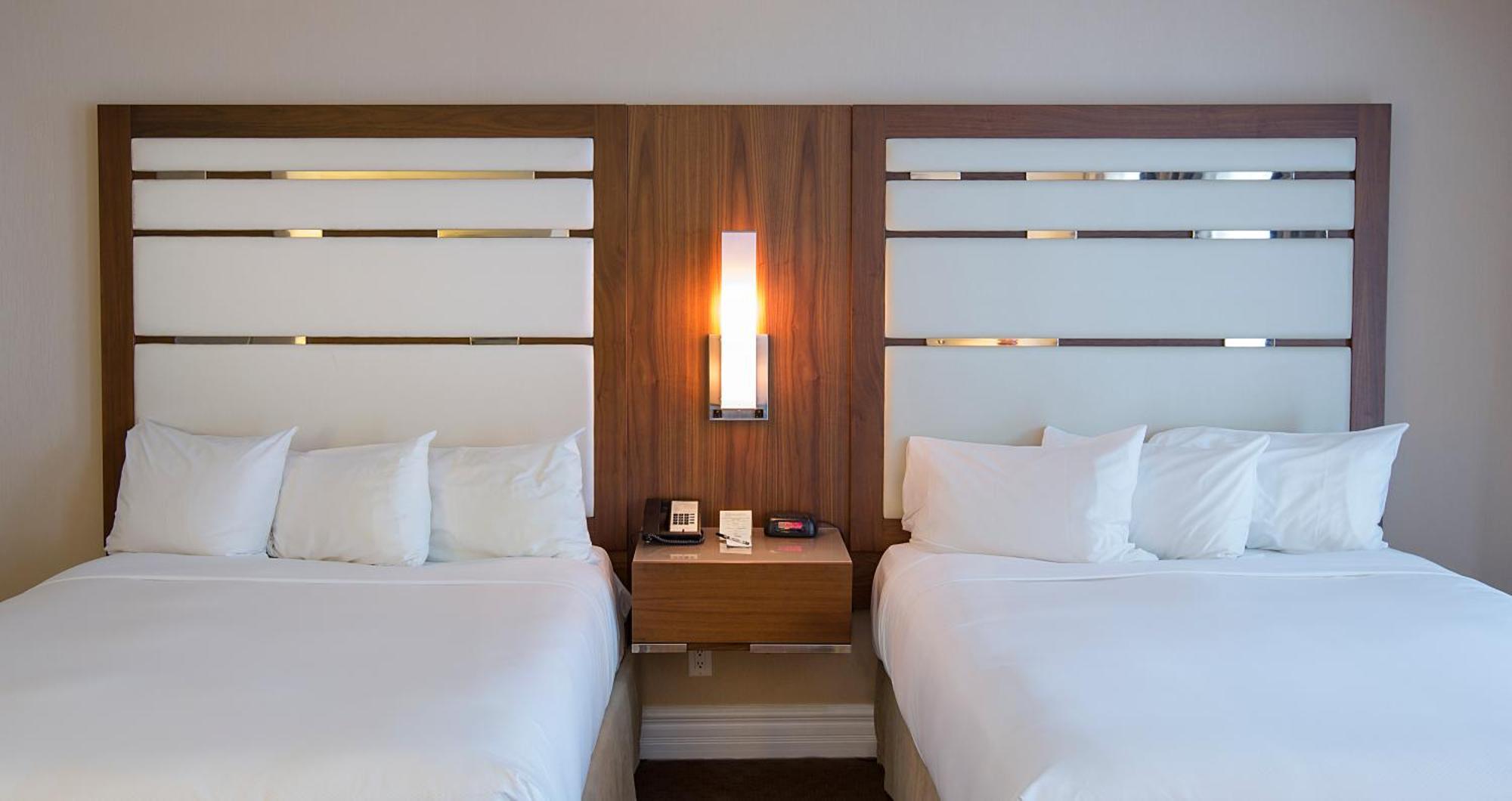 Studio with 2 Queen Beds,983255740:JPEG