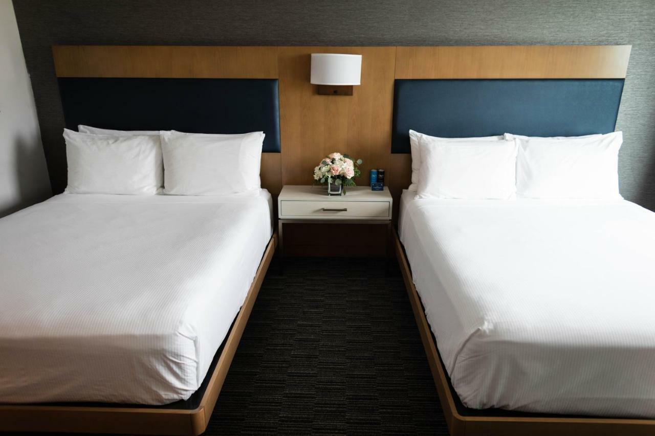 Standard Queen Room with Two Queen Beds,779423889:JPEG