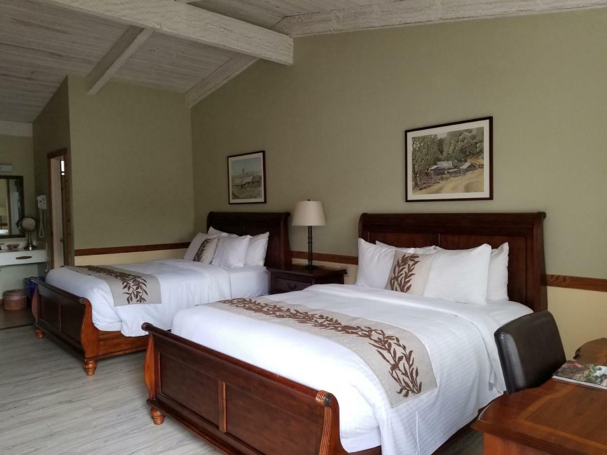 Queen Room with 2 Queen Beds