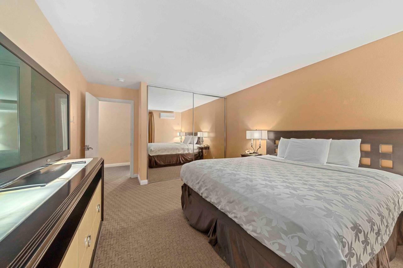 Family Suite,815229614:JPEG