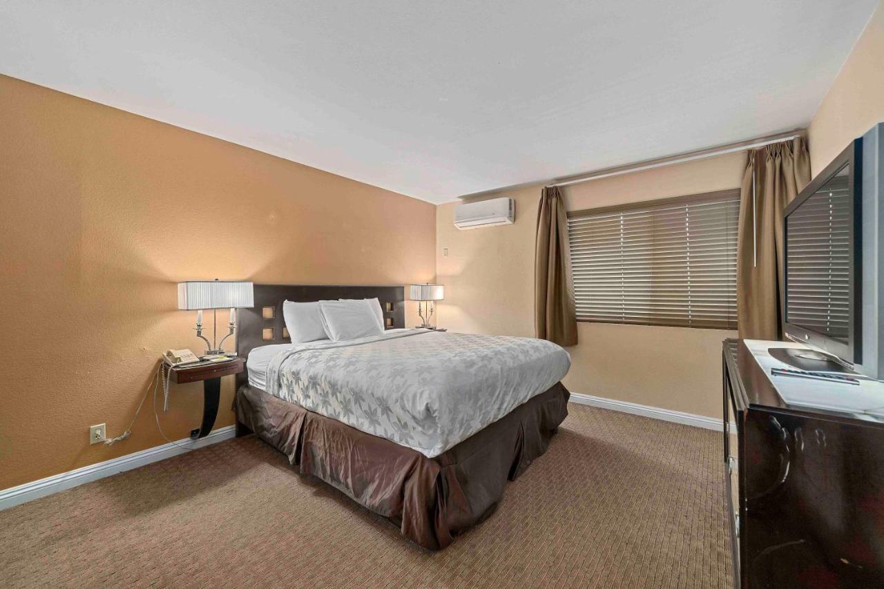 Standard King Room,815230022:JPEG