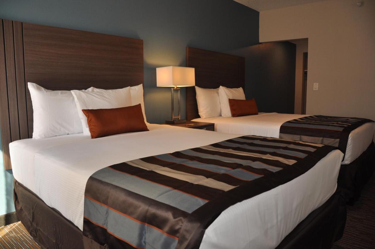 Deluxe King Suite,1731573152:JPEG