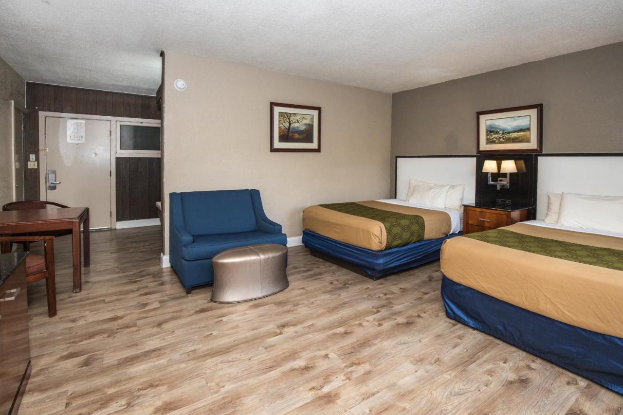 Standard Room with Two Double Beds,998743914:JPEG