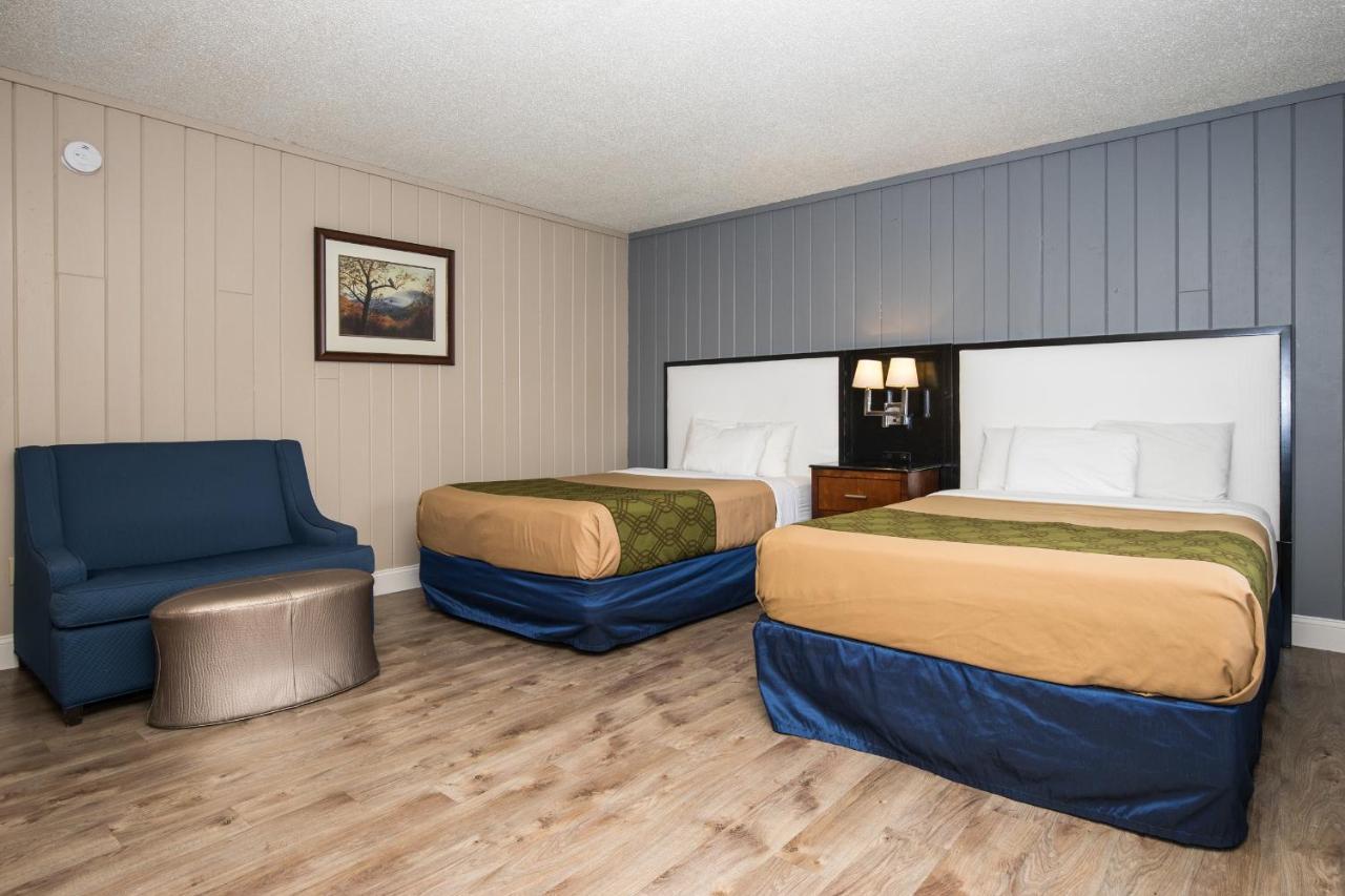 Standard Room with Two Double Beds,998743131:JPEG