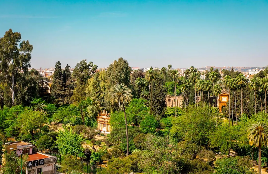 Hotel Alcazar-1