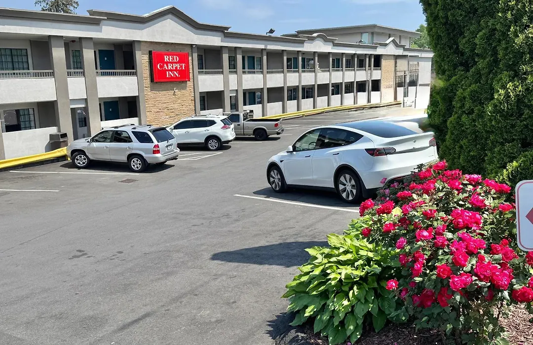 Red Carpet Inn - Stamford-1