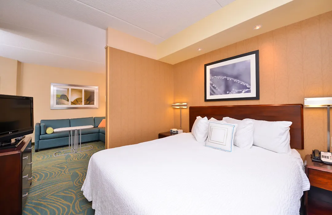 Springhill Suites Arundel Mills BWI Airport-1