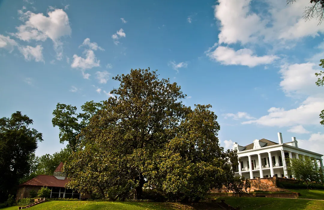 Dunleith Historic Inn-1