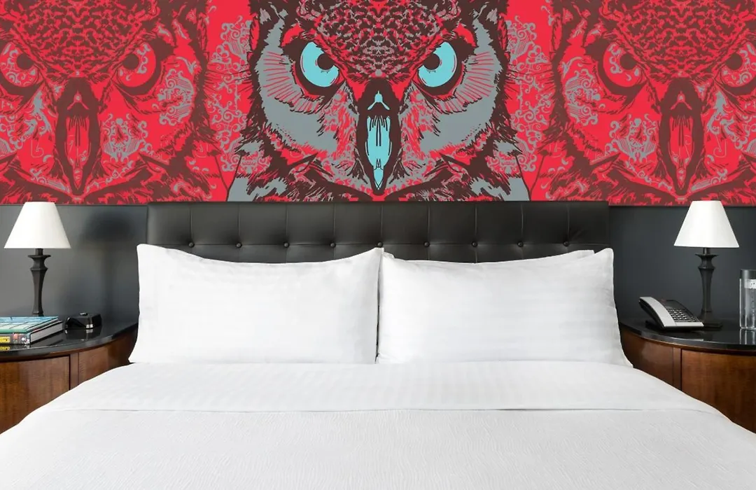 Studio Allston Hotel Boston-1