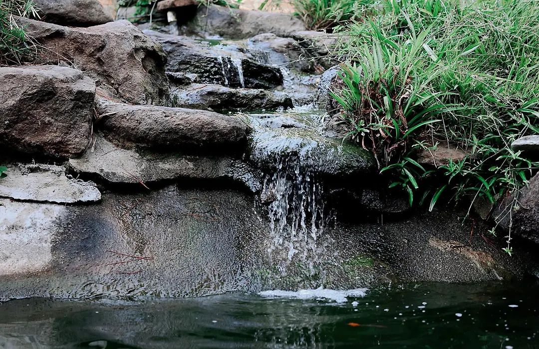 Dinah'S Garden Hotel-1