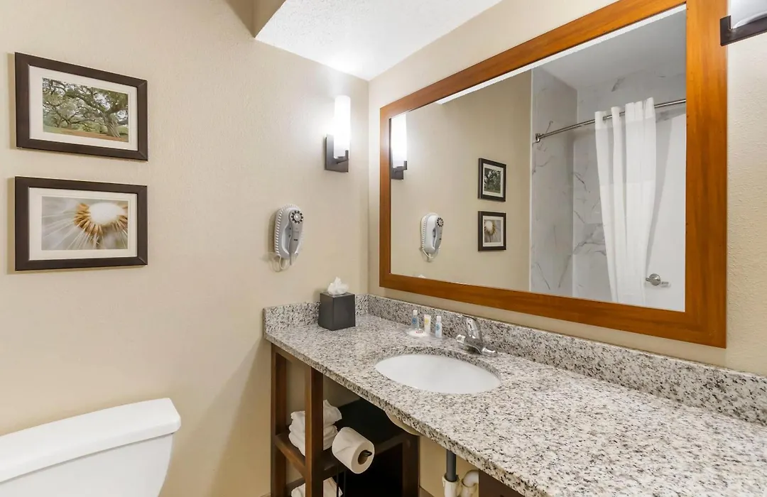 Comfort Suites At The University-1